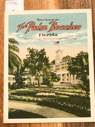 Item #17172 Souvenir of The Palm Beaches Florida. anon