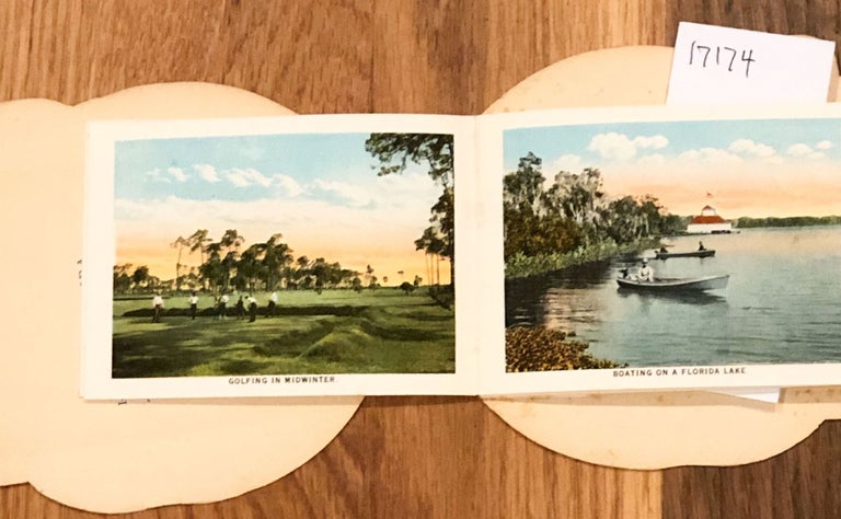 Item #17174 Beautiful Florida (postcard ). Ruth Raymond.