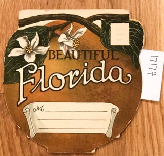 Beautiful Florida (postcard )