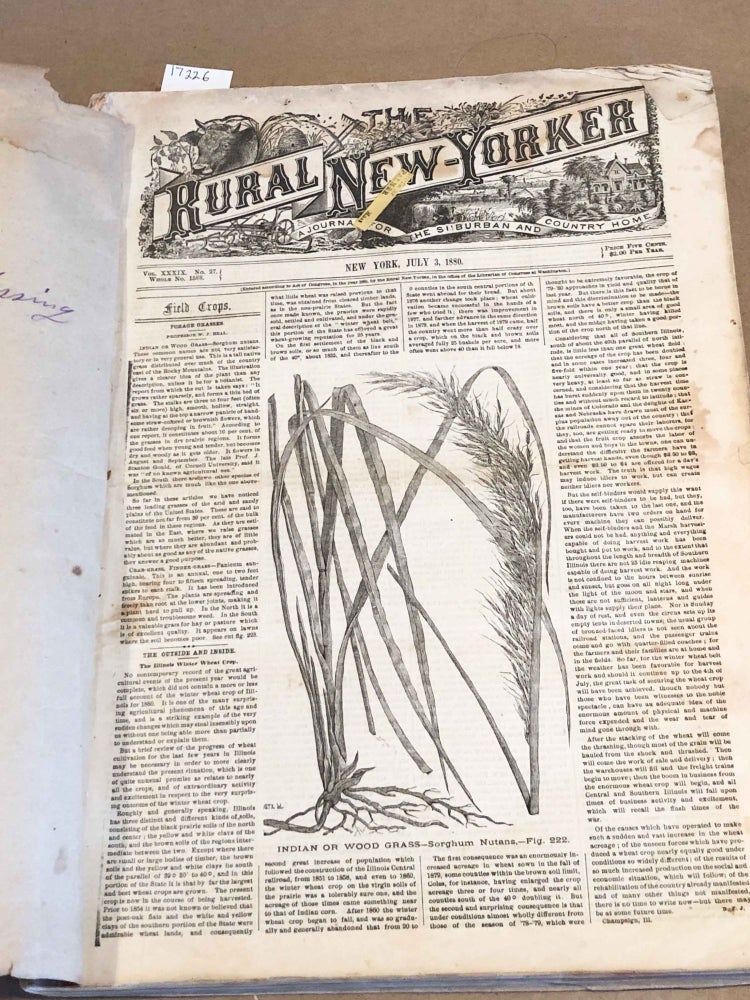 Item #17226 The Rural New Yorker A Journal for the Suburban and Country Home July - Dec. , 1880 weekly issues. Elbert S. Carman.