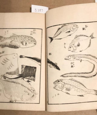 Japanese book of Fish and other sea animals