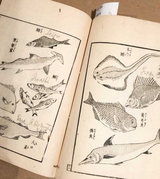 Japanese book of Fish and other sea animals