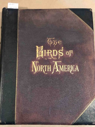 Item #8587 Studer's Popular Ornithology: Vol. II only The Birds of North America: Drawn and...