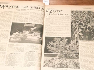The Amateur Photographer & Cinematographer incorporating the new Photographer, " Focus", "The Photographic News" & " Photography" Volume LXXVII Jan - June 1934