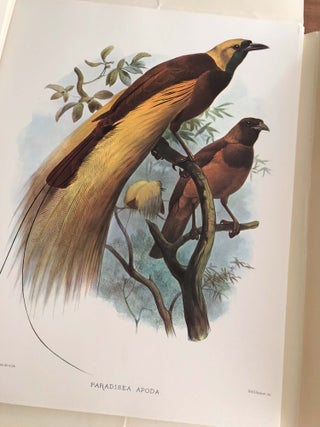 Item #8674 A Monograph of the Paradiseidae or BIRDS OF PARADISE. Daniel Giraud Elliot
